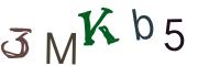 Obrázkové CAPTCHA