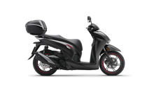 Coal Black